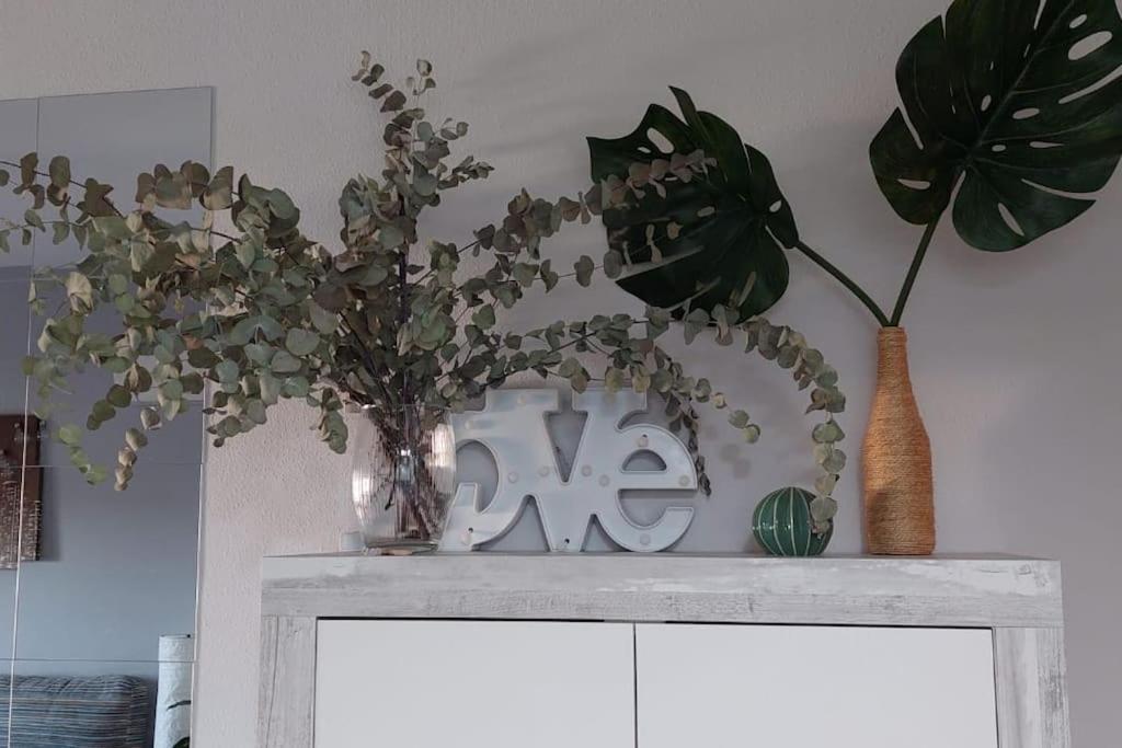 סן פדרו דל פינטר Lodo Amor מראה חיצוני תמונה